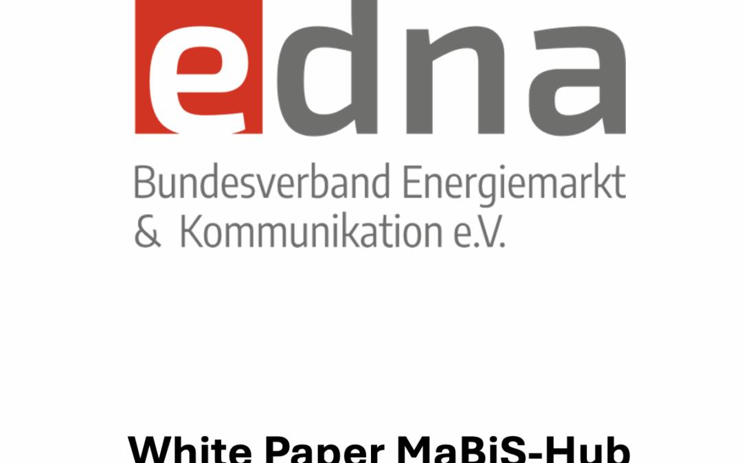 edna-White-Paper MaBiS-HUB
