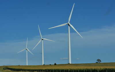 Erneuerbare Energien: „Regional ist das neue Bio“